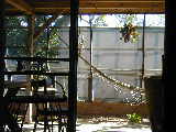 Click to see DSCN2248.JPG