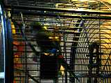 Click to see DSCN2252.JPG
