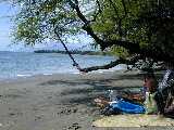 Click to see DSCN2256.JPG