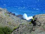 Click to see DSCN2273.JPG