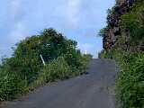 Click to see DSCN2290.JPG