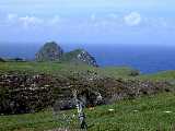 Click to see DSCN2293.JPG