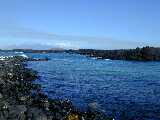 Click to see DSCN2333.JPG