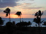 Click to see DSCN2341.JPG