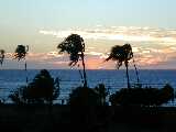 Click to see DSCN2355.JPG