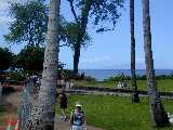Click to see DSCN2367.JPG