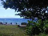Click to see DSCN2374.JPG