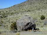 Click to see DSCN3994.JPG