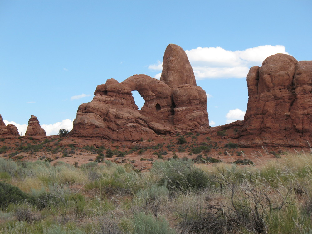 archesIMG_0004.JPG