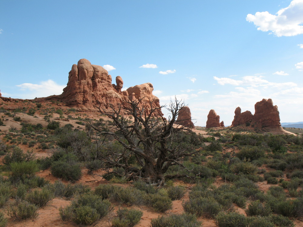 archesIMG_0007.JPG