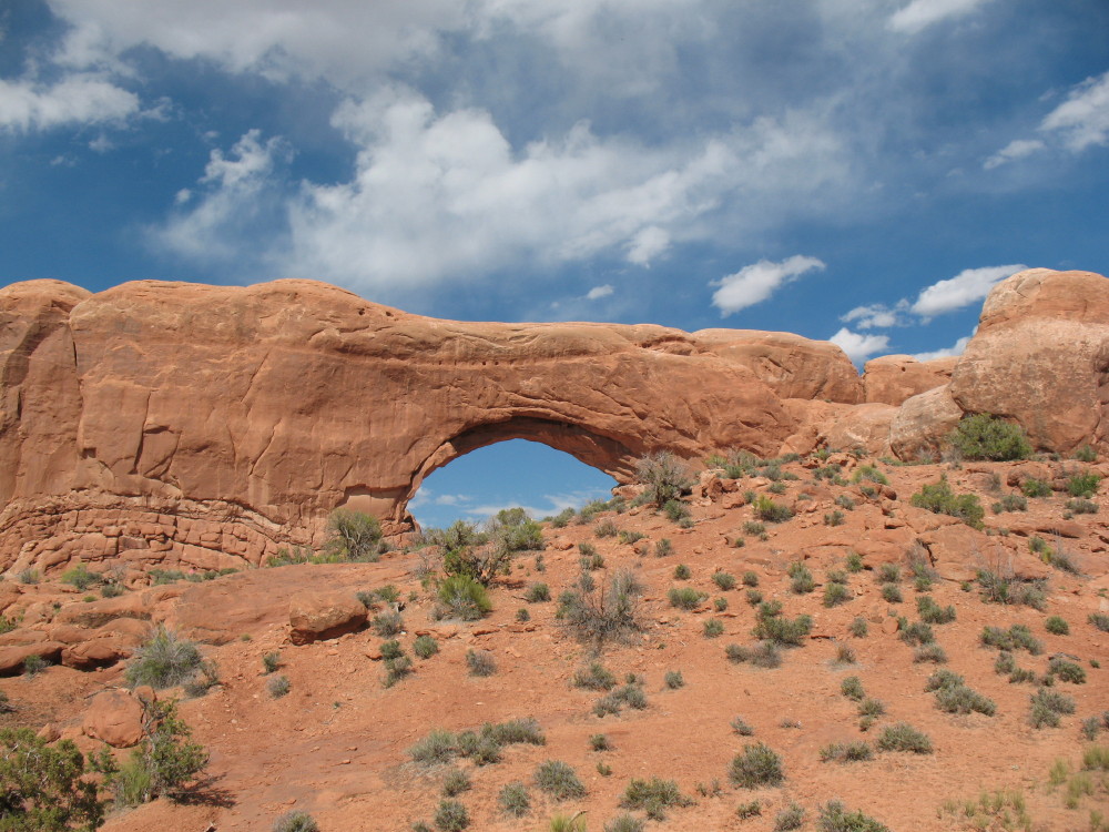 archesIMG_0008.JPG