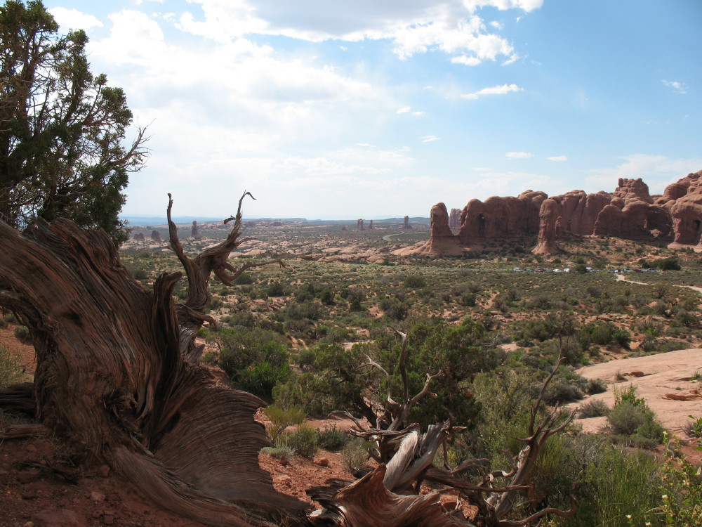 archesIMG_0009.JPG
