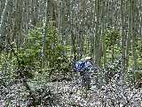 Click to see DSCN2724.JPG