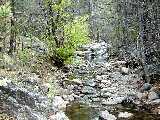 Click to see DSCN2726.JPG