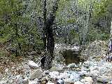 Click to see DSCN2727.JPG