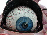 Click to see DSCN0305.JPG