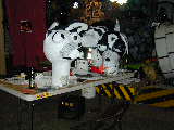 Click to see DSCN0310.JPG