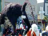 Click to see DSCN0353.JPG