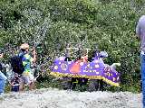 Click to see DSCN0401.JPG