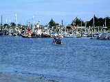 Click to see DSCN0442.JPG