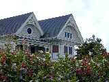 Click to see DSCN0510.JPG