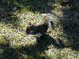Click to see Dscn1736.jpg