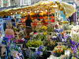 Click to see Dscn1740.jpg