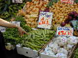 Click to see Dscn1741.jpg