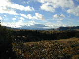 Click to see DSCN3746.JPG