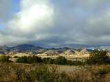 Click to see DSCN3747.JPG