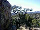 Click to see DSCN3752.JPG