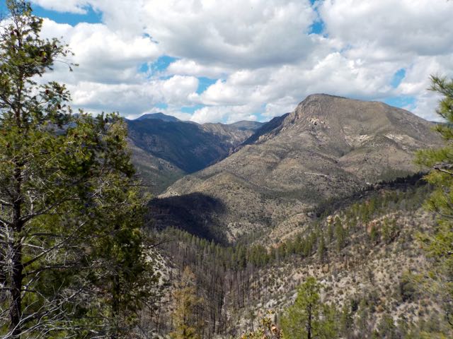 DSCN1187.jpg