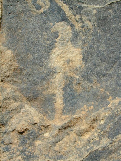 pony17.jpg