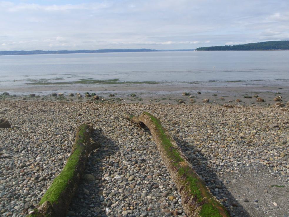 p1010009.jpg