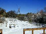 Click to see DSCN7660.JPG