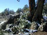 Click to see DSCN7674.JPG