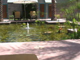 Click to see IMG_0803.JPG