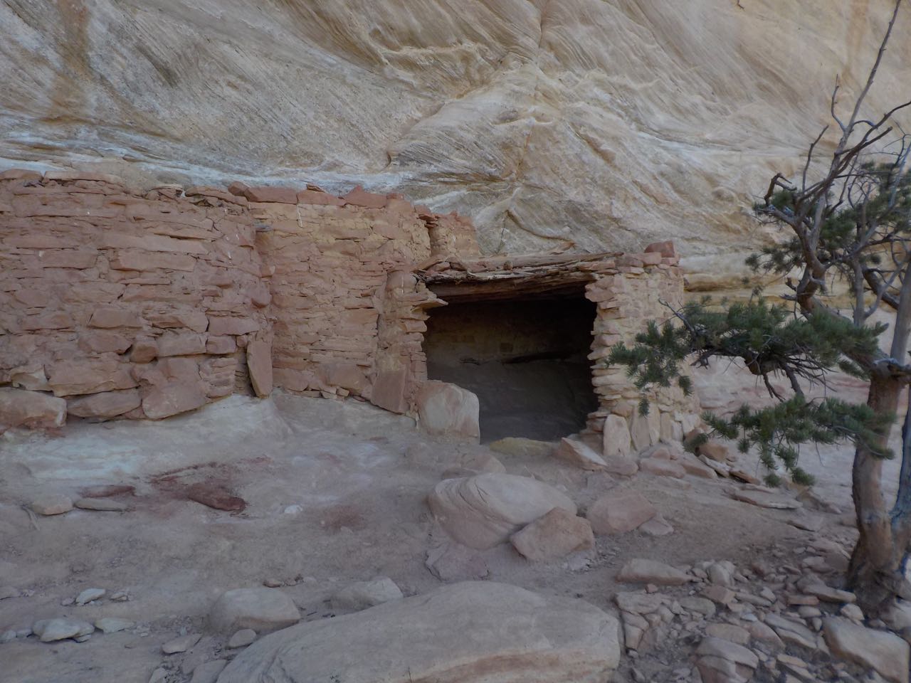 DSCN1728.jpg
