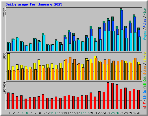 Daily usage for January 2025