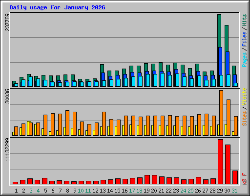 Daily usage for January 2026