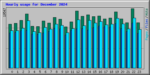 Hourly usage for December 2024