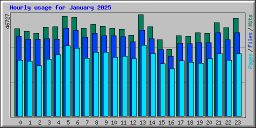 Hourly usage for January 2025