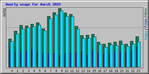 Hourly usage for March 2025
