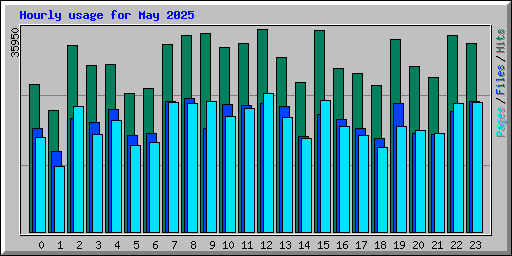 Hourly usage for May 2025