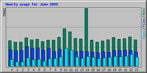 Hourly usage for June 2025
