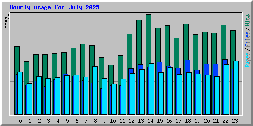Hourly usage for July 2025