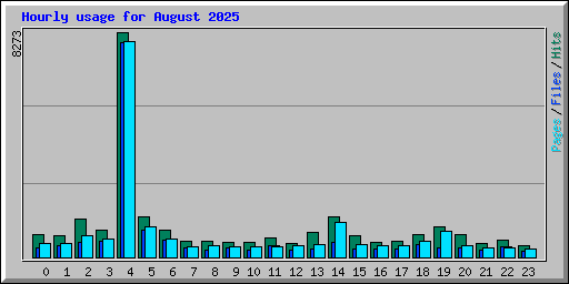 Hourly usage for August 2025