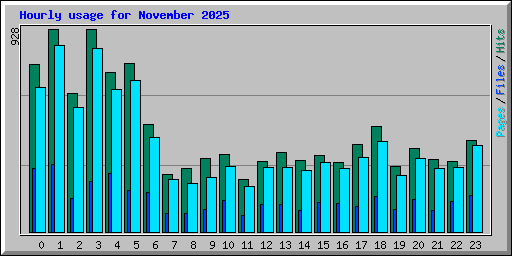 Hourly usage for November 2025