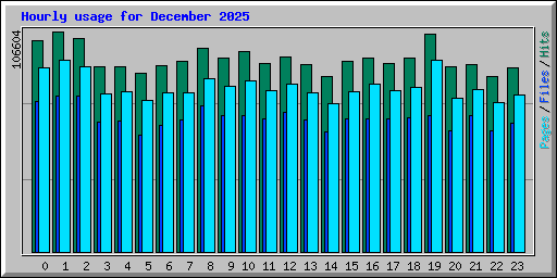 Hourly usage for December 2025