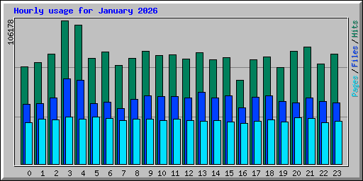 Hourly usage for January 2026
